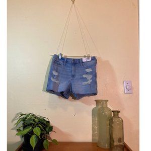 Hollister Distressed NWT Jean High Rise Shorts Size 9 W 29 New With Tags